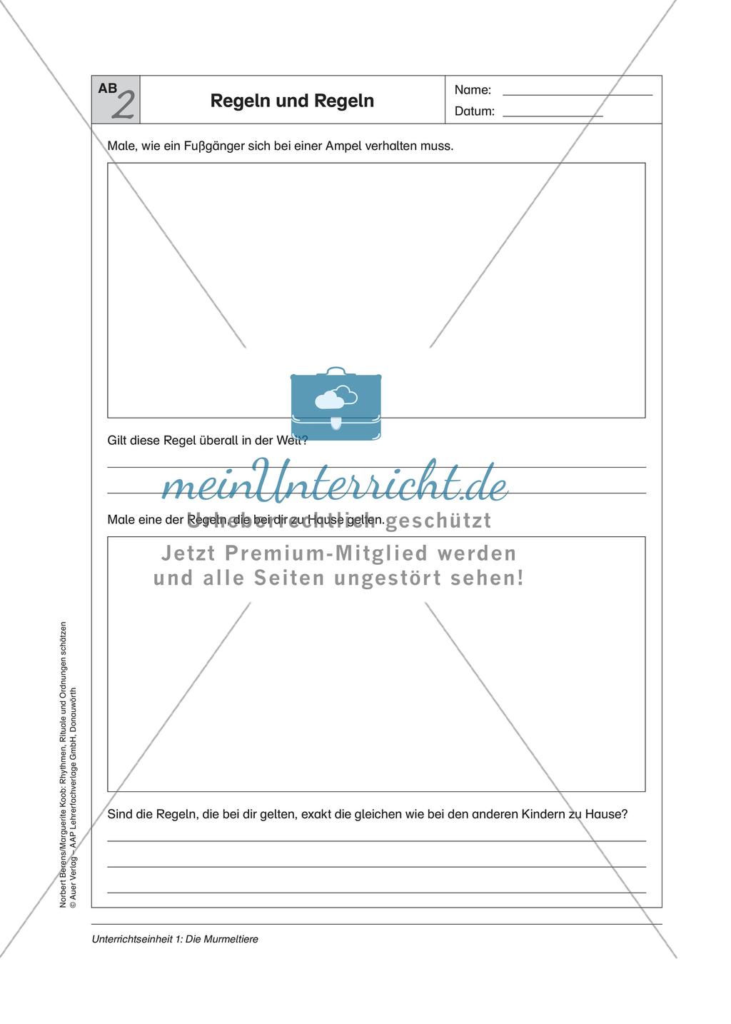 Rhythmen, Rituale und Ordnungen: Die Murmeltiere Preview 9