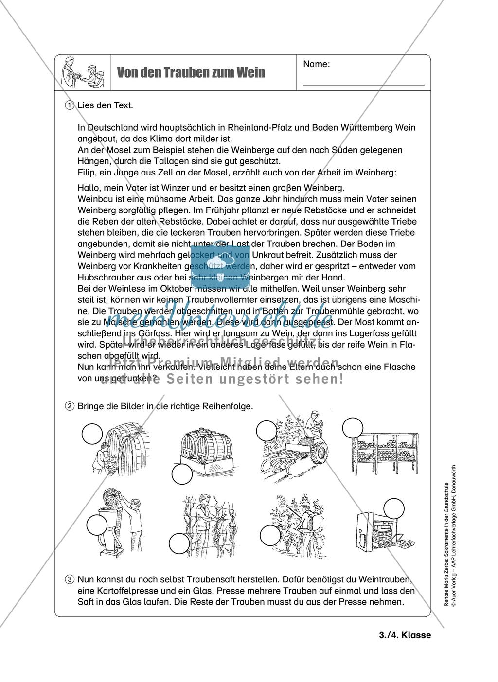 Sakramente: Eucharistie Preview 12