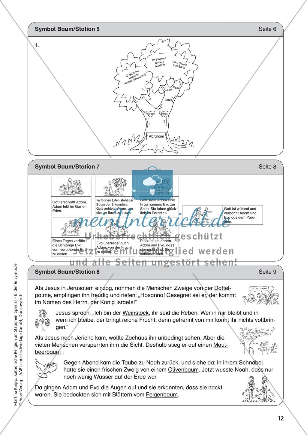 Kath. Religion an Stationen: Symbol Baum Preview 14