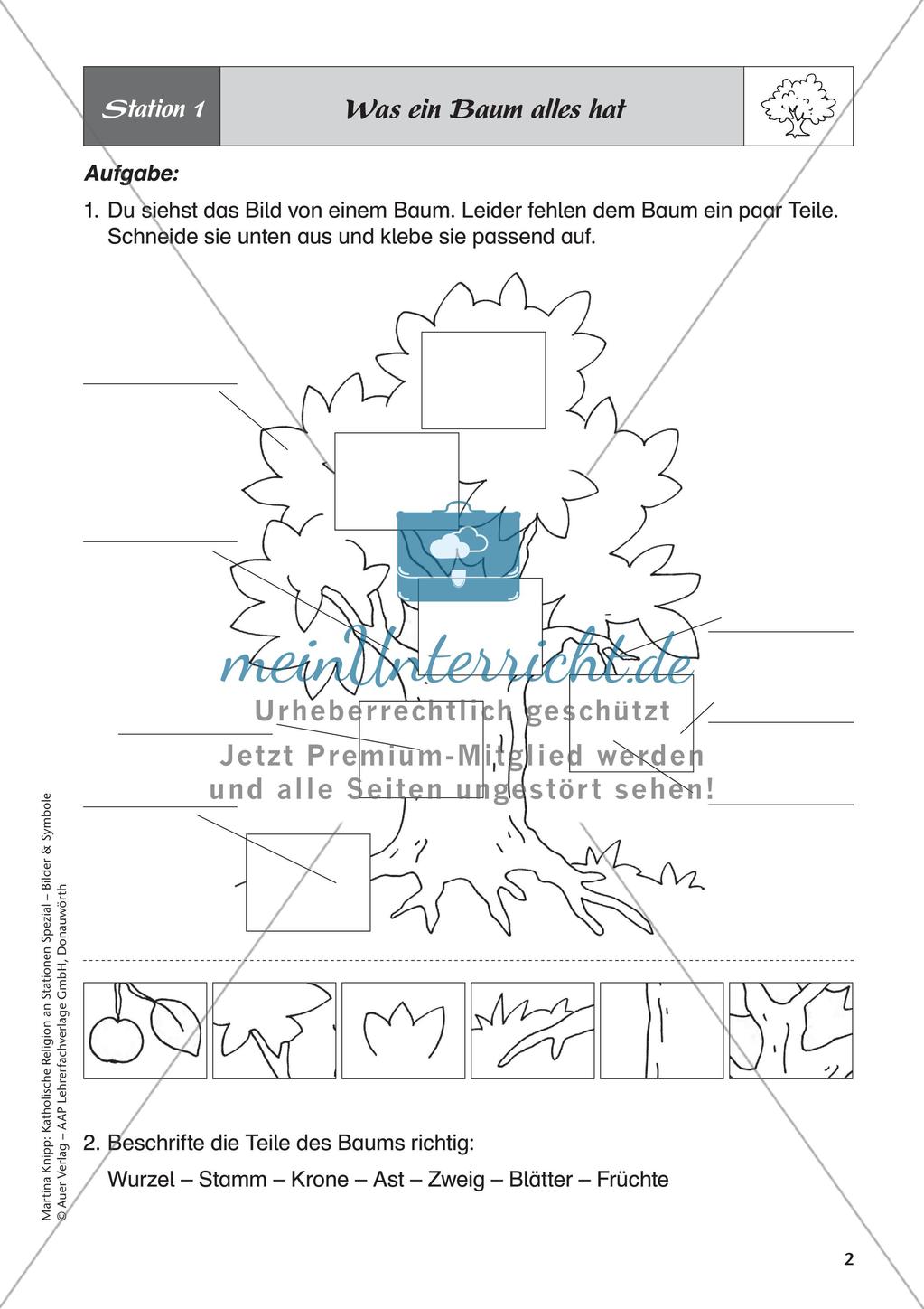 Kath. Religion an Stationen: Symbol Baum Preview 4