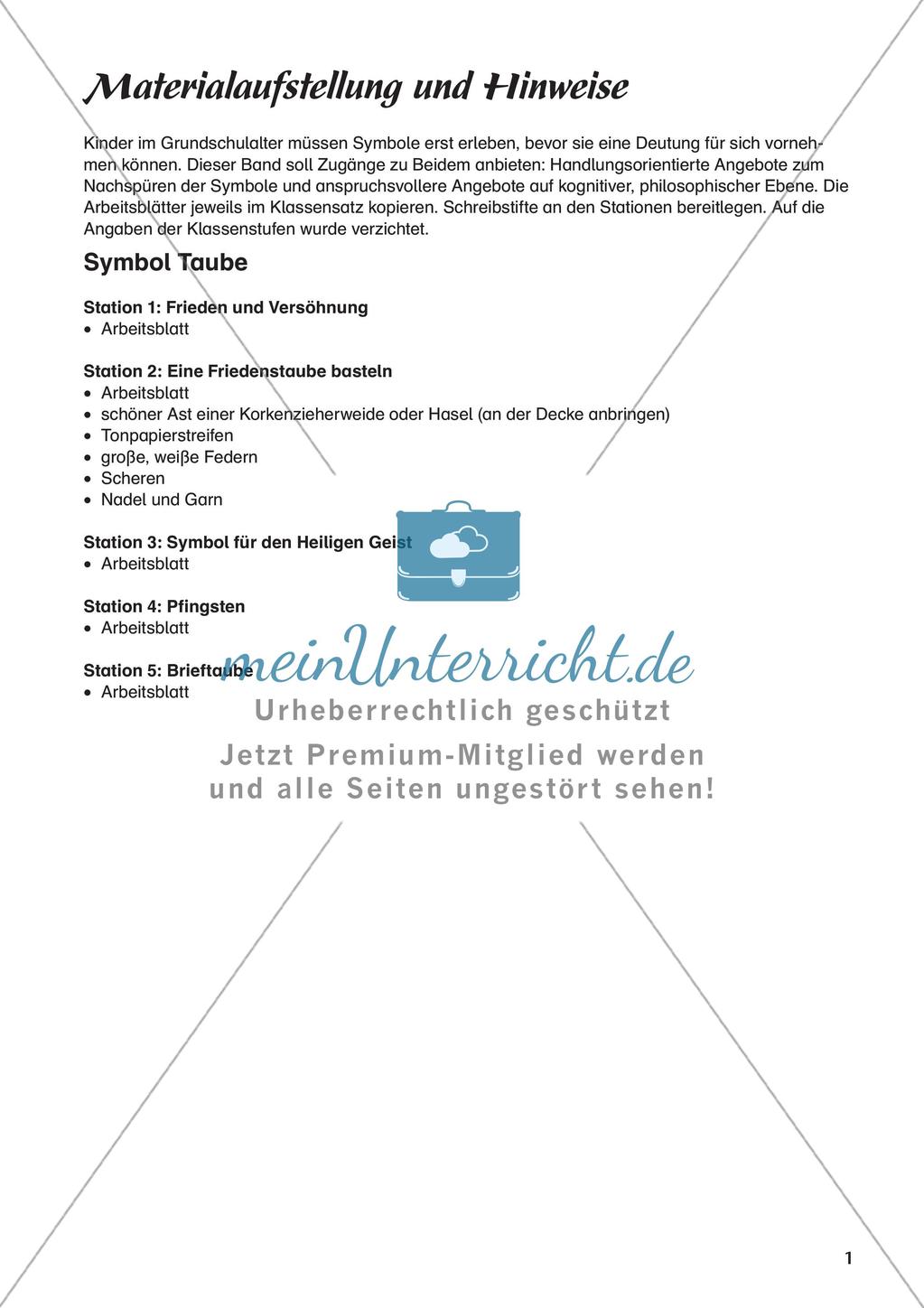 Kath. Religion an Stationen: Symbol Taube Preview 3