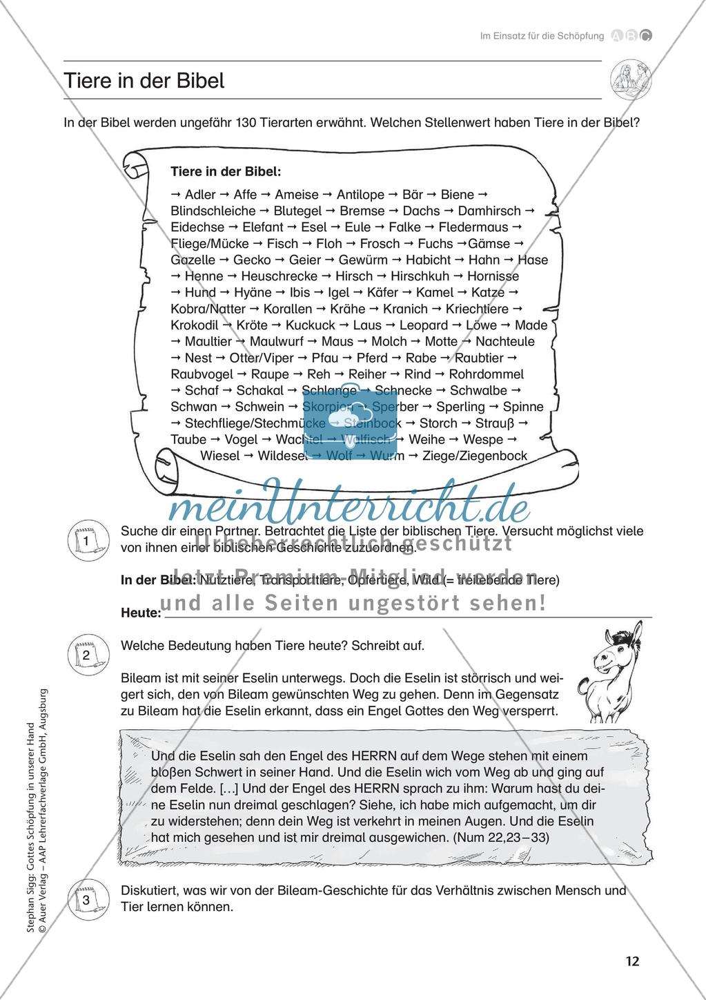 Im Einsatz für die Schöpfung Preview 14