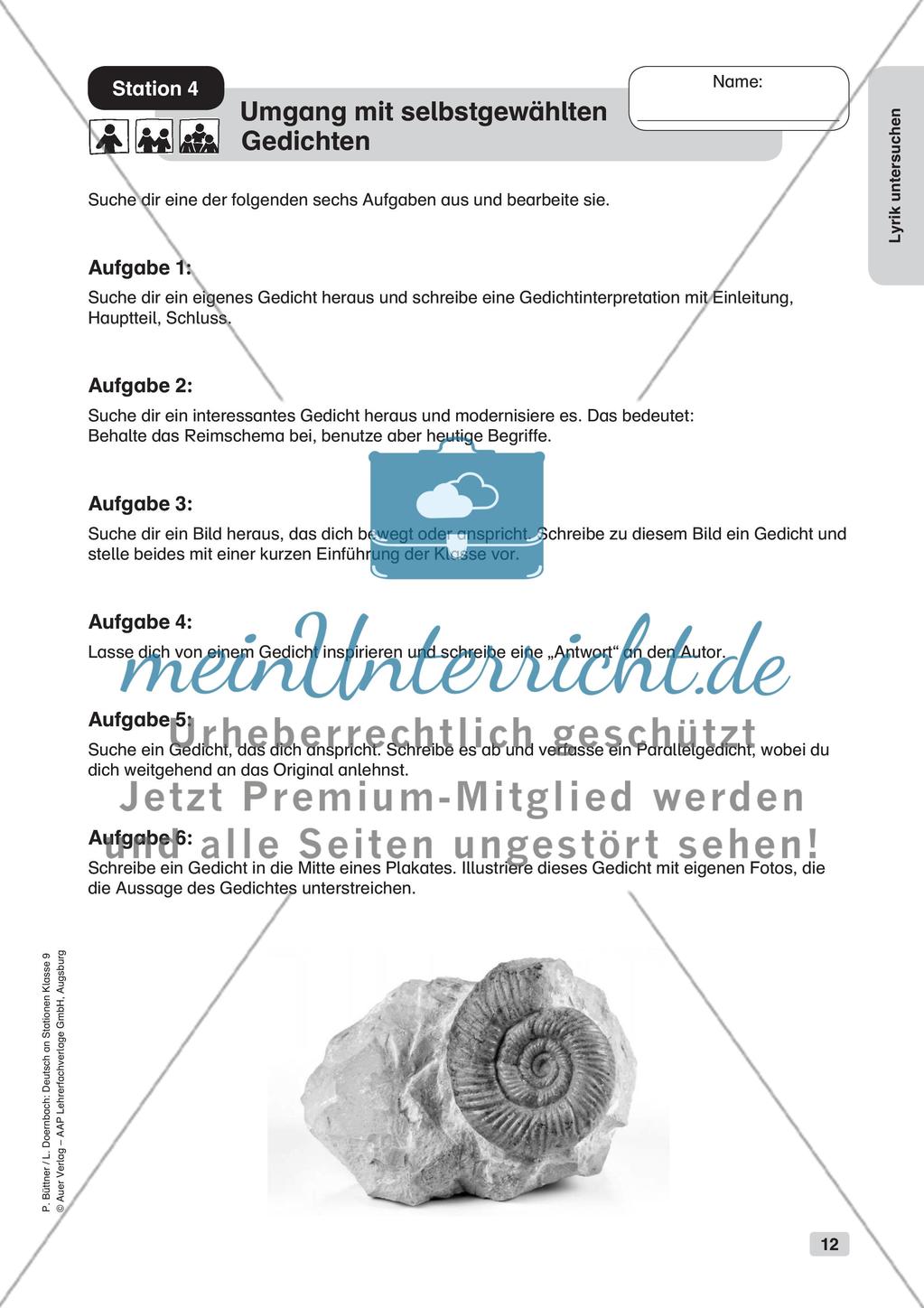 Untersuchung von Lyrik Preview 14