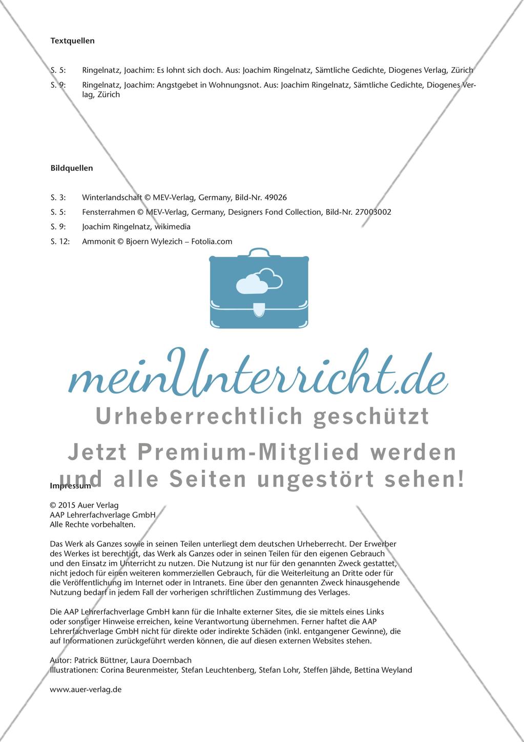 Untersuchung von Lyrik Preview 16