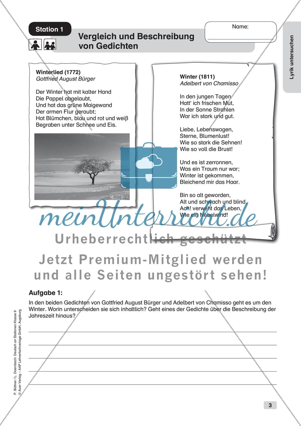 Untersuchung von Lyrik Preview 5
