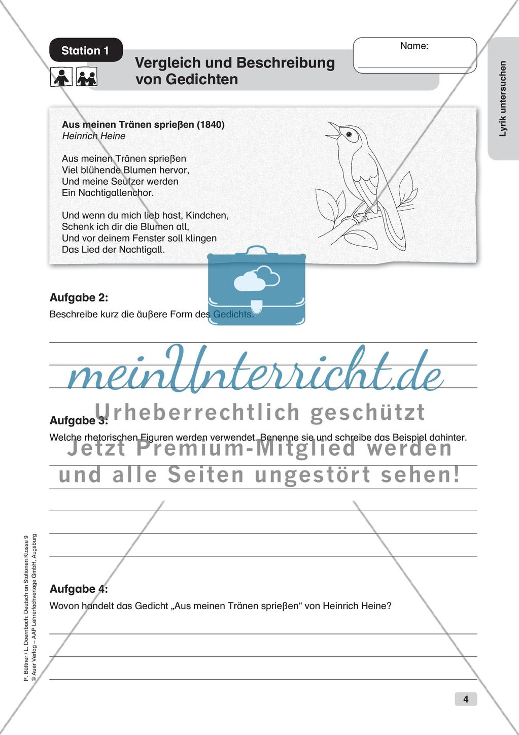 Untersuchung von Lyrik Preview 6