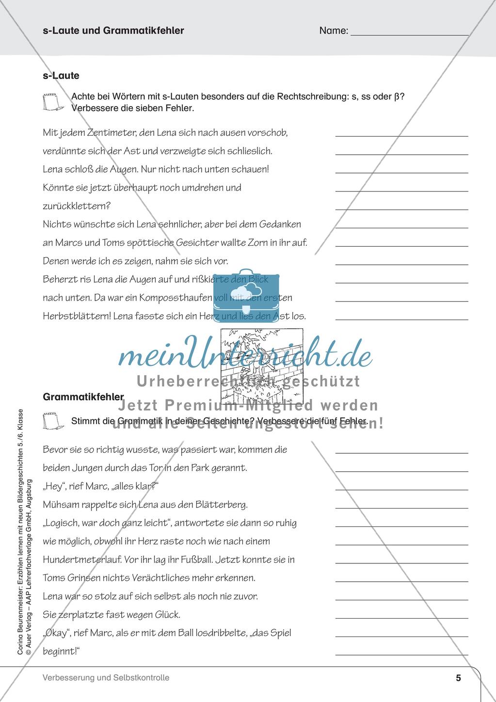 Erzählen nach Bildergeschichten: Verbesserung und Selbstkontrolle Preview 7