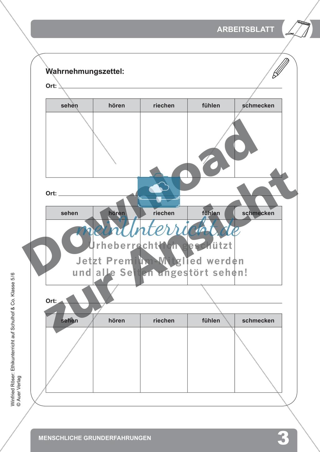 Menschliche Grunderfahrungen Preview 5