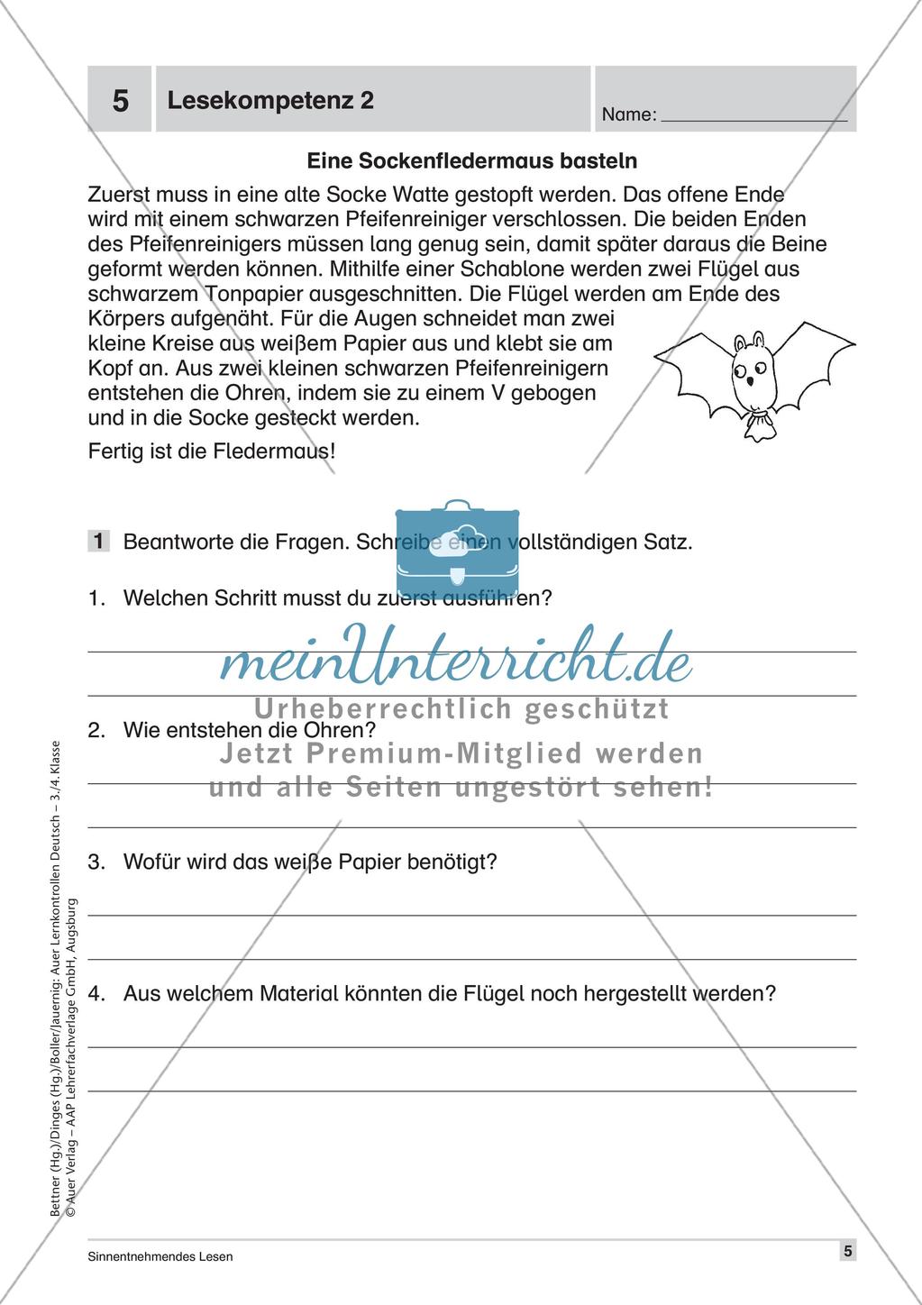 Lernkontrollen: Schreiben und sinnentnehmendes Lesen Preview 7