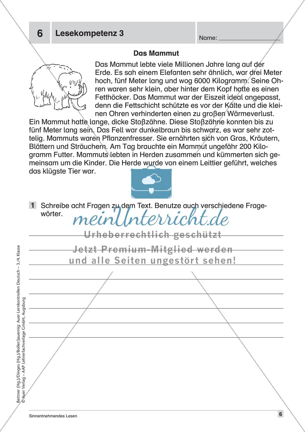 Lernkontrollen: Schreiben und sinnentnehmendes Lesen Preview 8