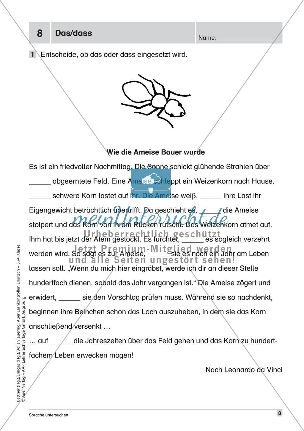 Lernkontrollen: Rechtschreibung Preview 10