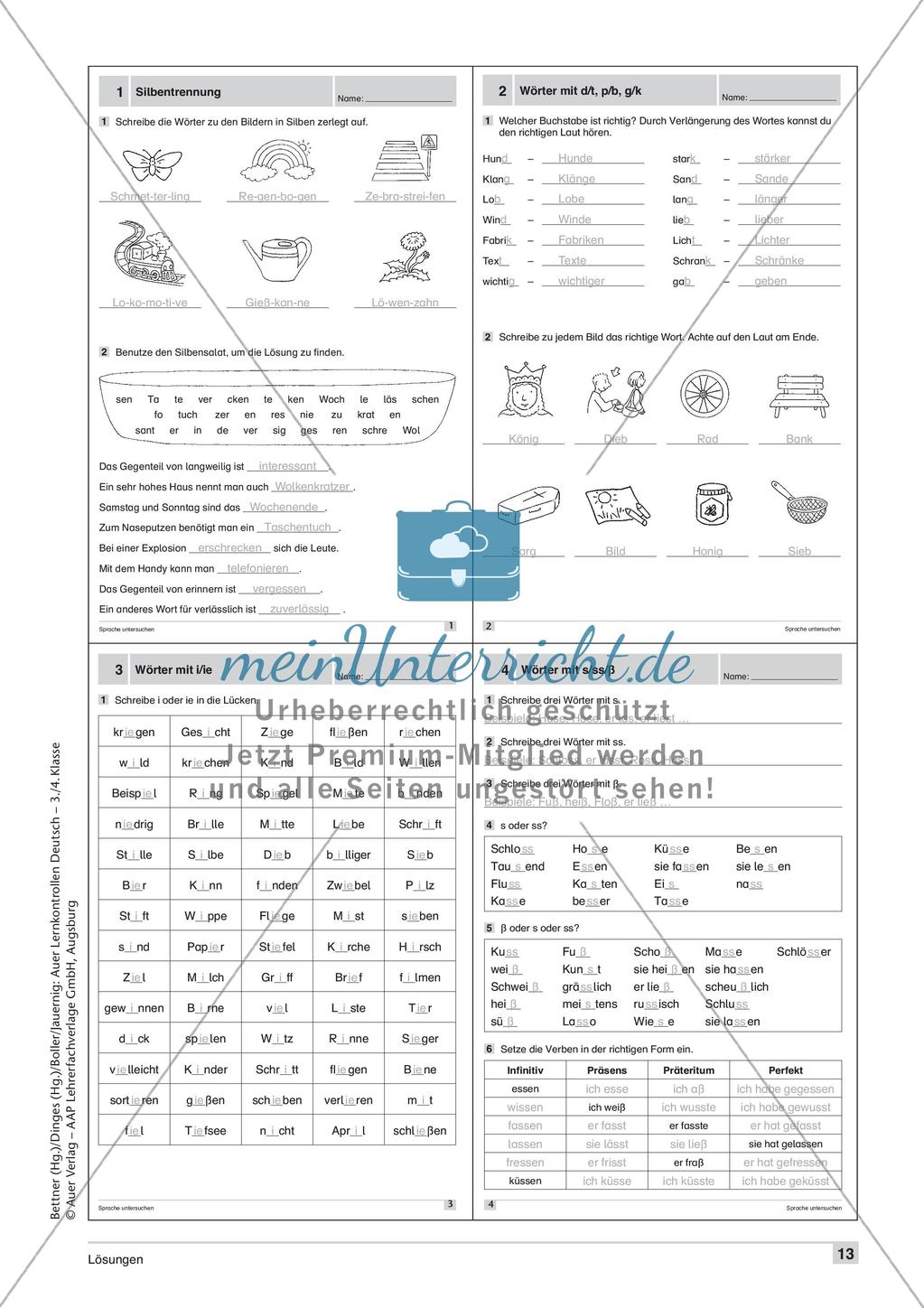Lernkontrollen: Rechtschreibung Preview 15