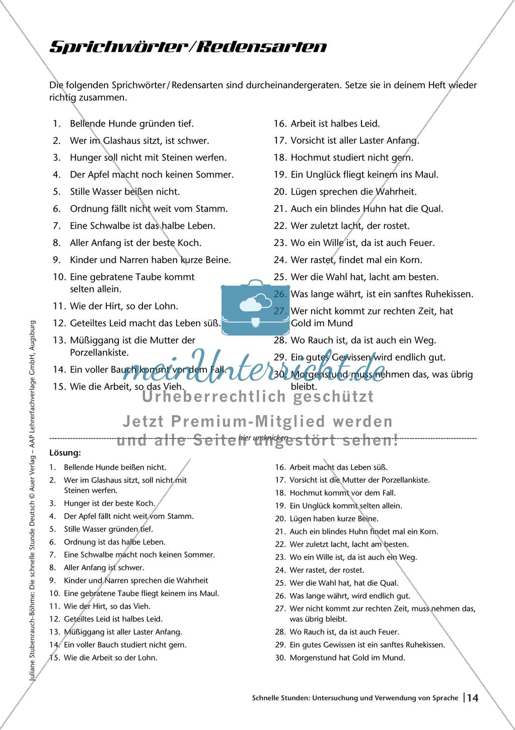 Untersuchung und Verwendung von Sprache Preview 16