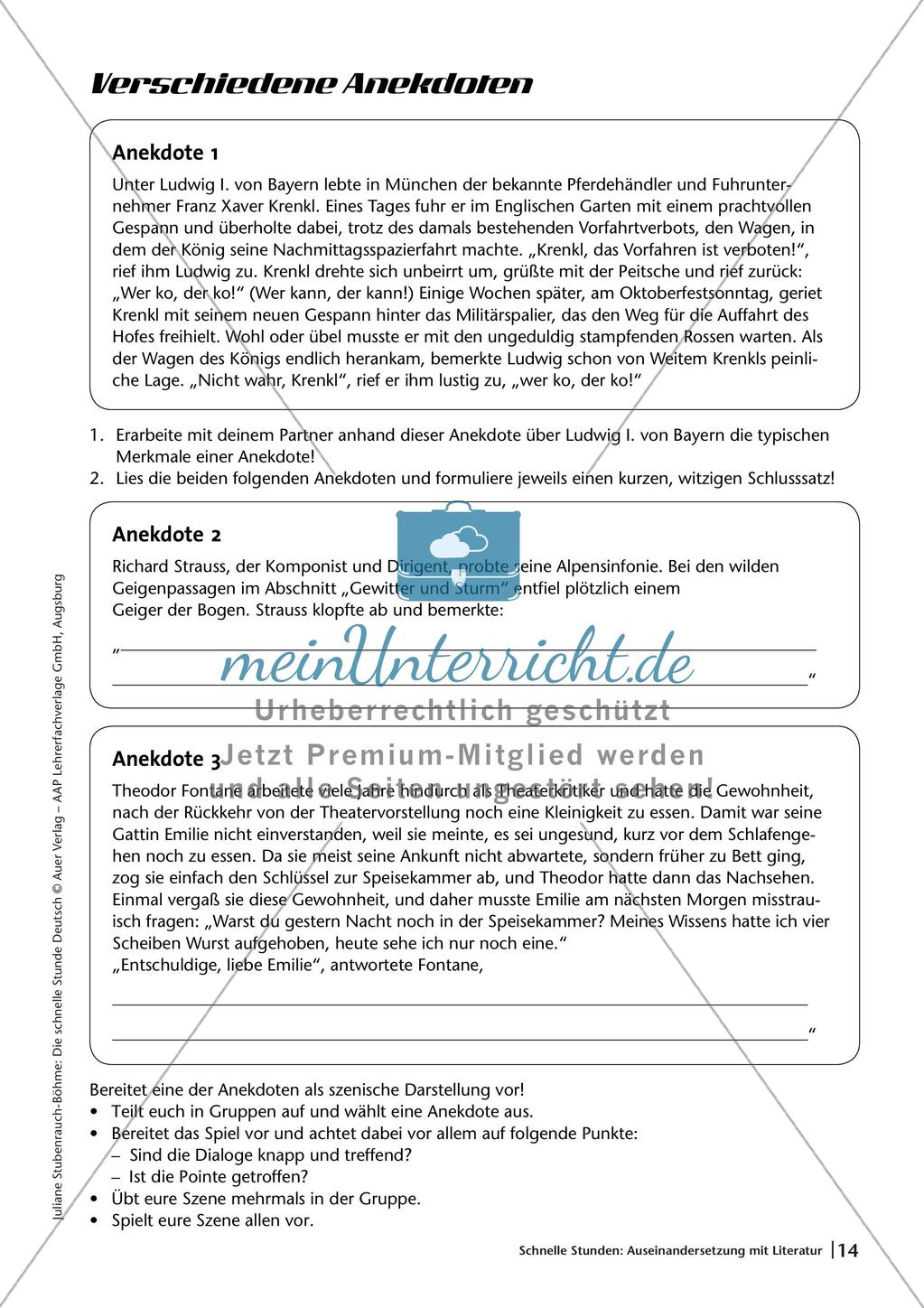 Auseinandersetzung mit Literatur Preview 16