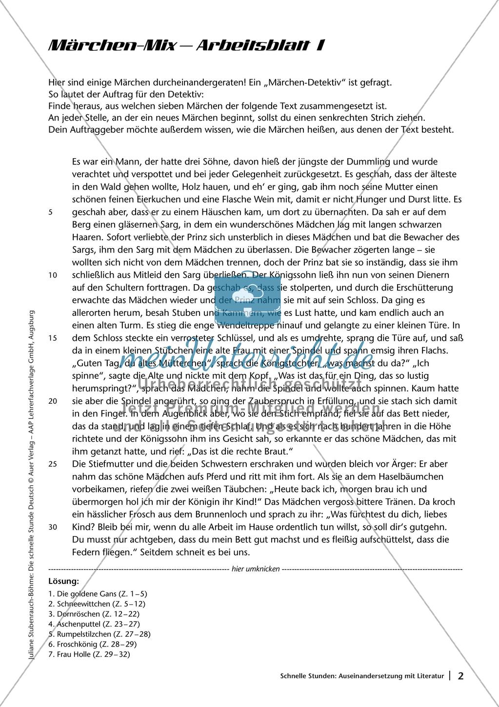 Auseinandersetzung mit Literatur Preview 4