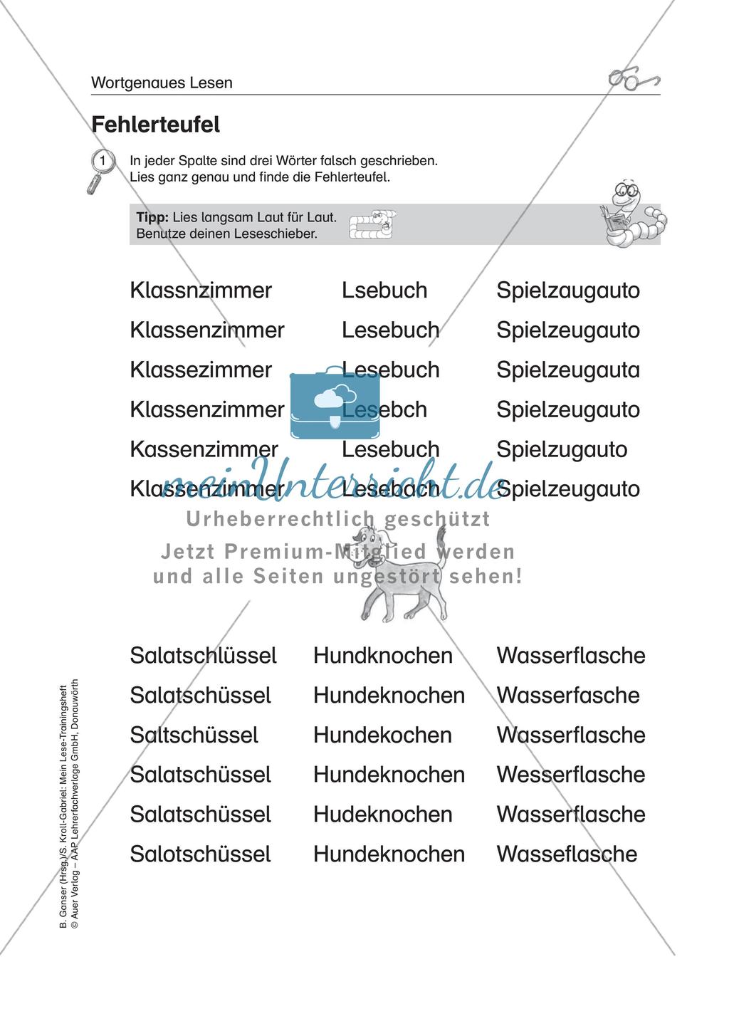 Übungen zur Lesefertigkeit bei LRS Preview 15