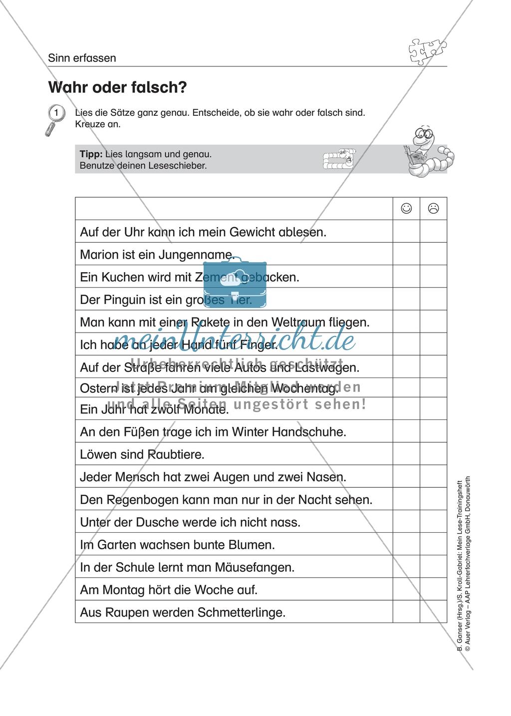 Übungen zur Sinnentnahme bei LRS Preview 16