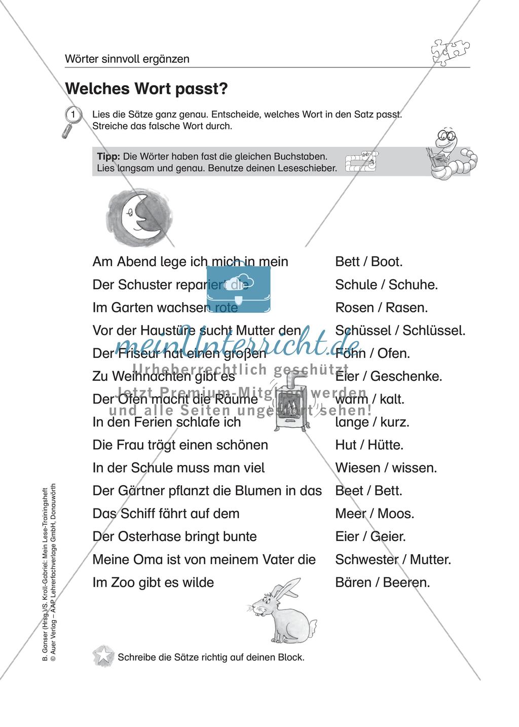 Übungen zur Sinnentnahme bei LRS Preview 17