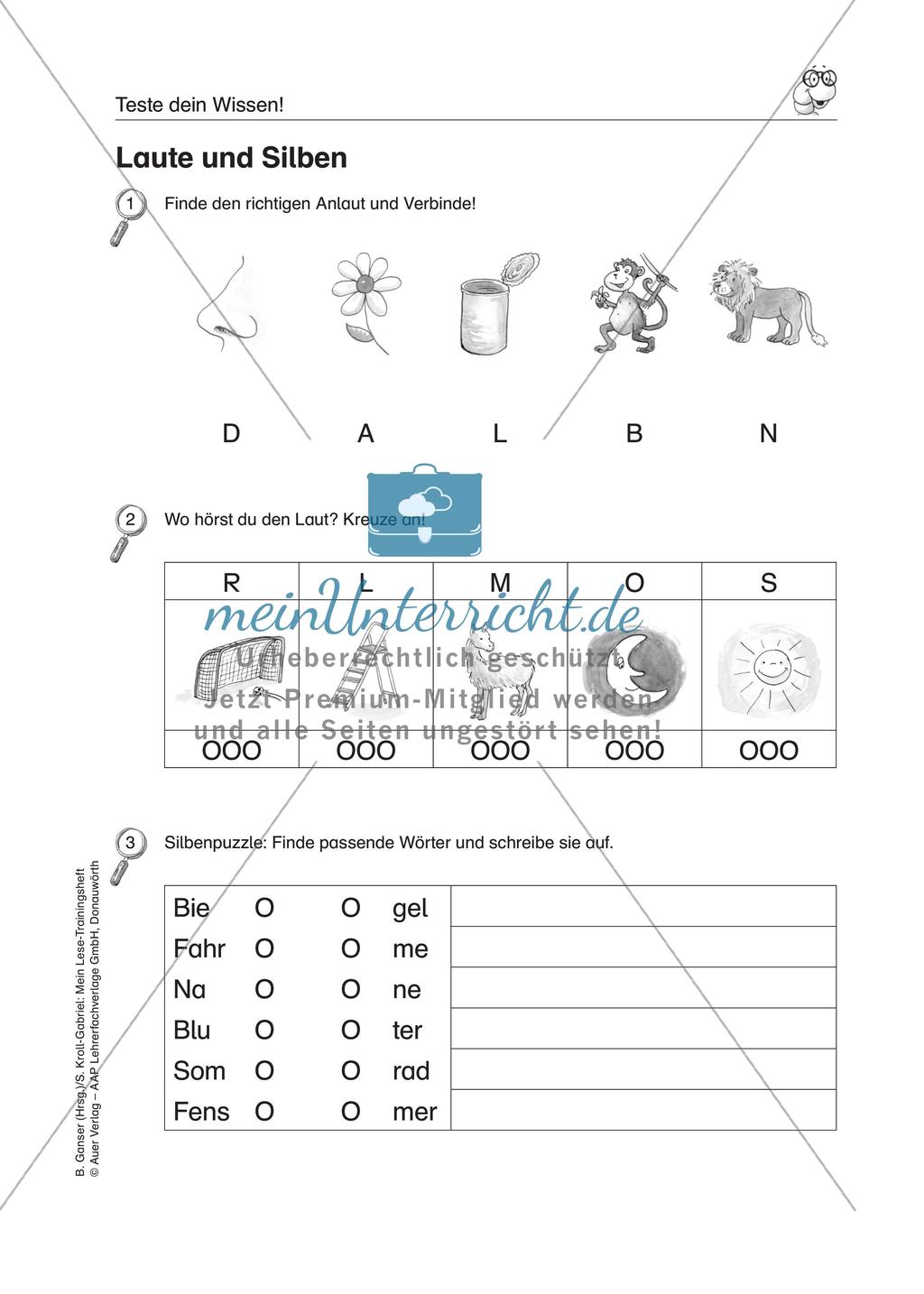 LRS: Wissenstest Lesekompetenz Preview 3