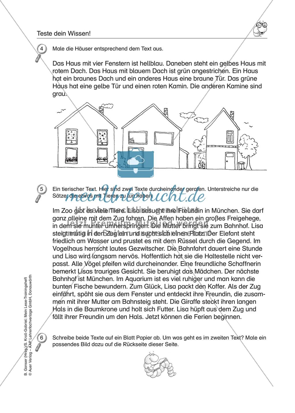 LRS: Wissenstest Lesekompetenz Preview 7