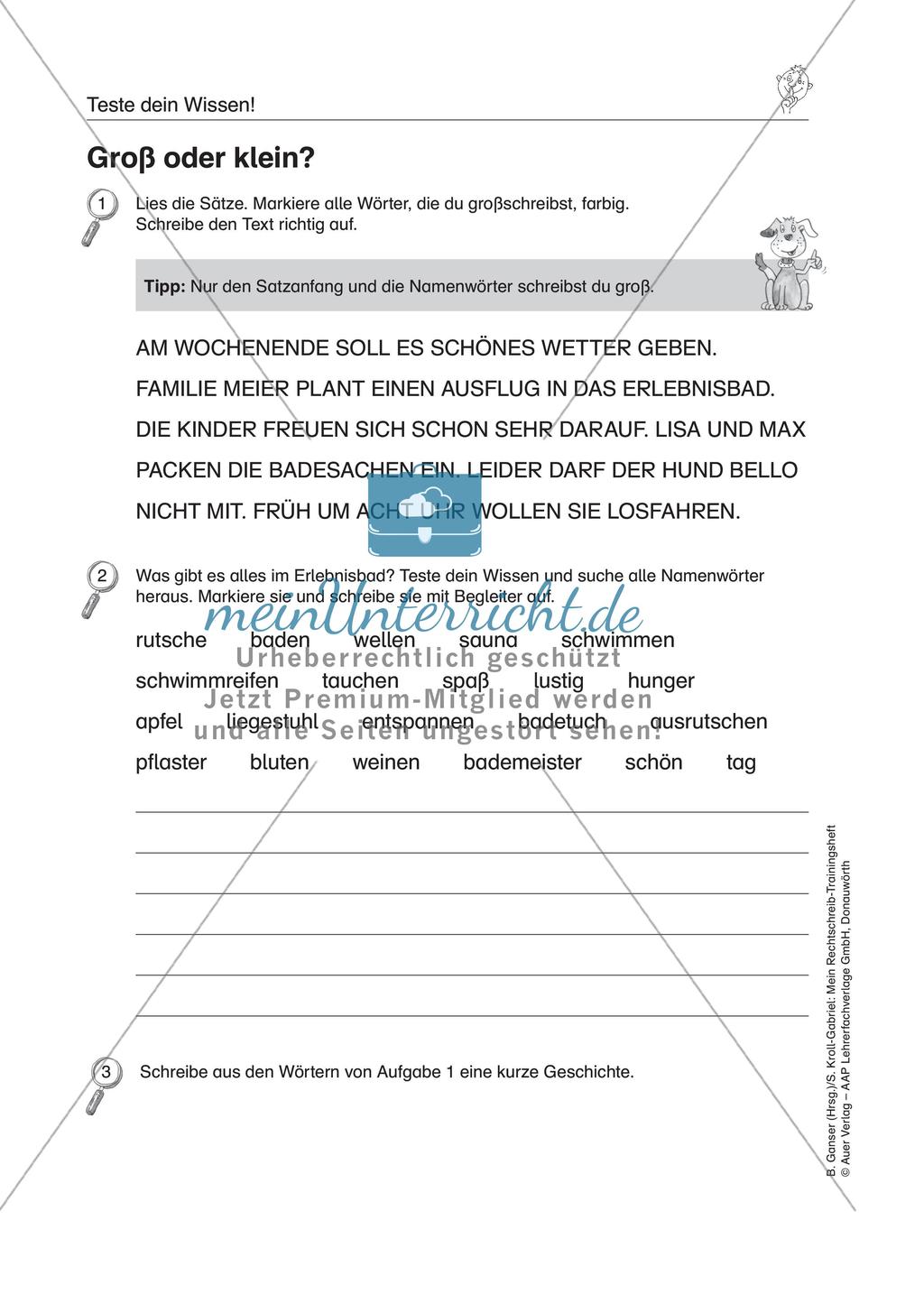 LRS: Wissenstest Rechtschreibung Preview 4