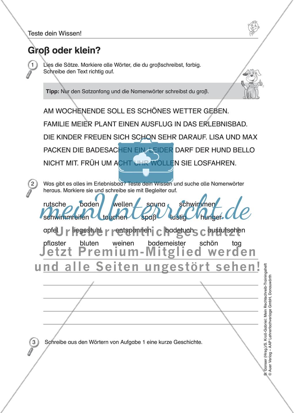LRS: Wissenstest Rechtschreibung Preview 4