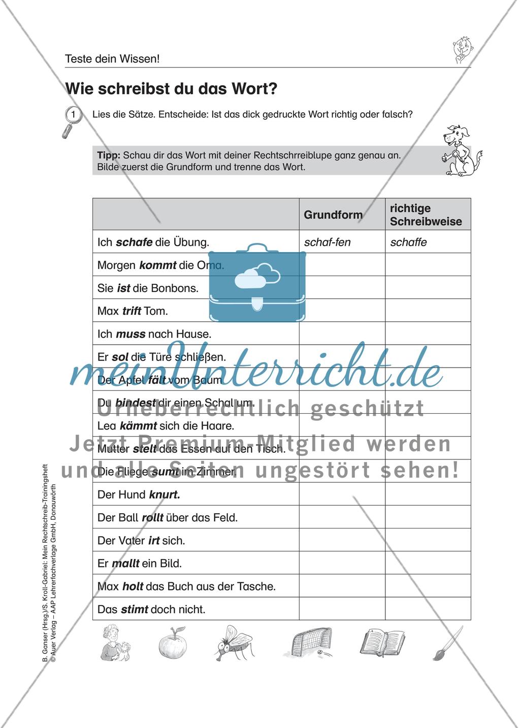 LRS: Wissenstest Rechtschreibung Preview 5