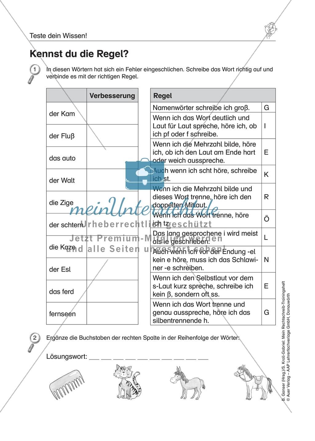 LRS: Wissenstest Rechtschreibung Preview 6