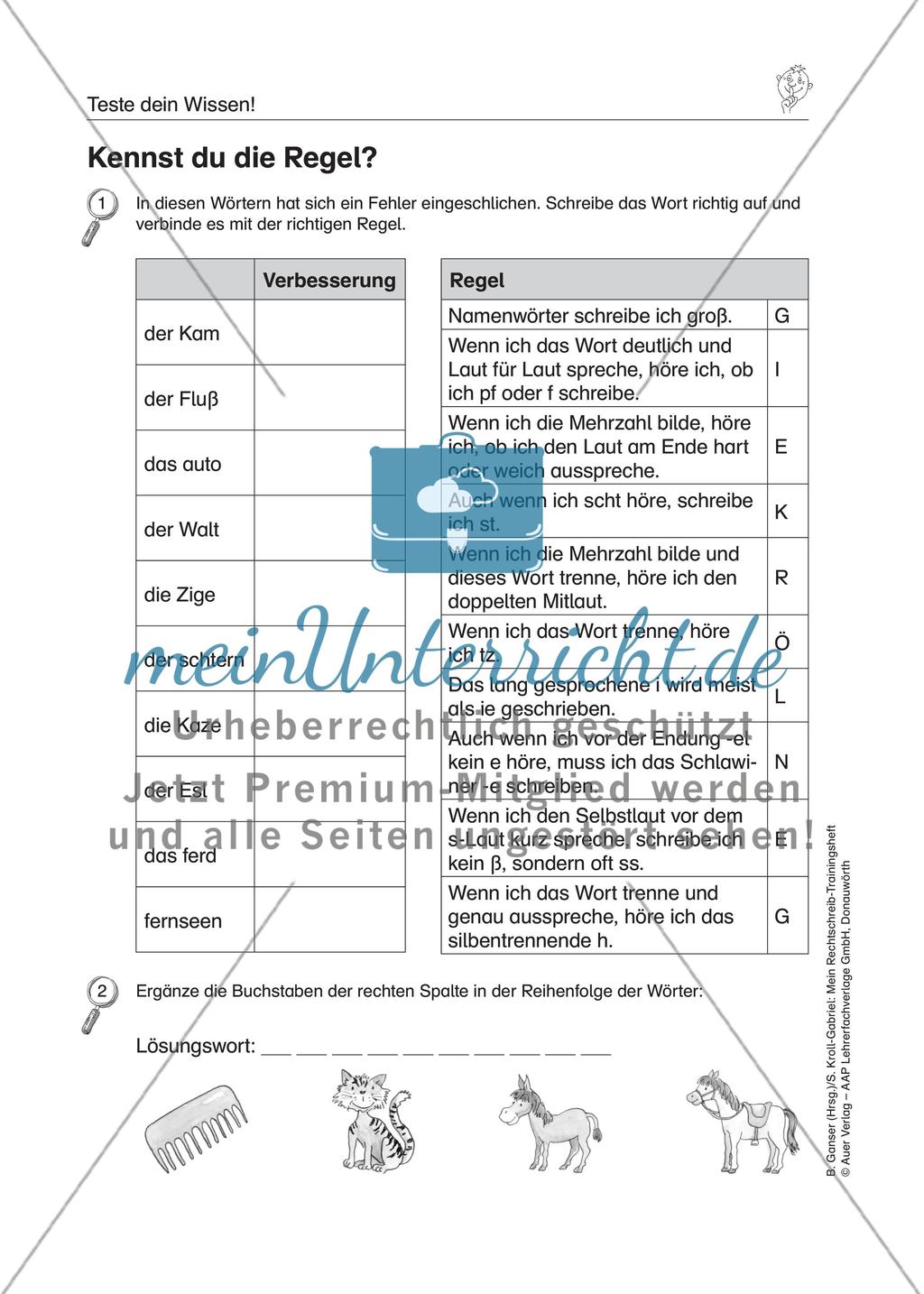 LRS: Wissenstest Rechtschreibung Preview 6