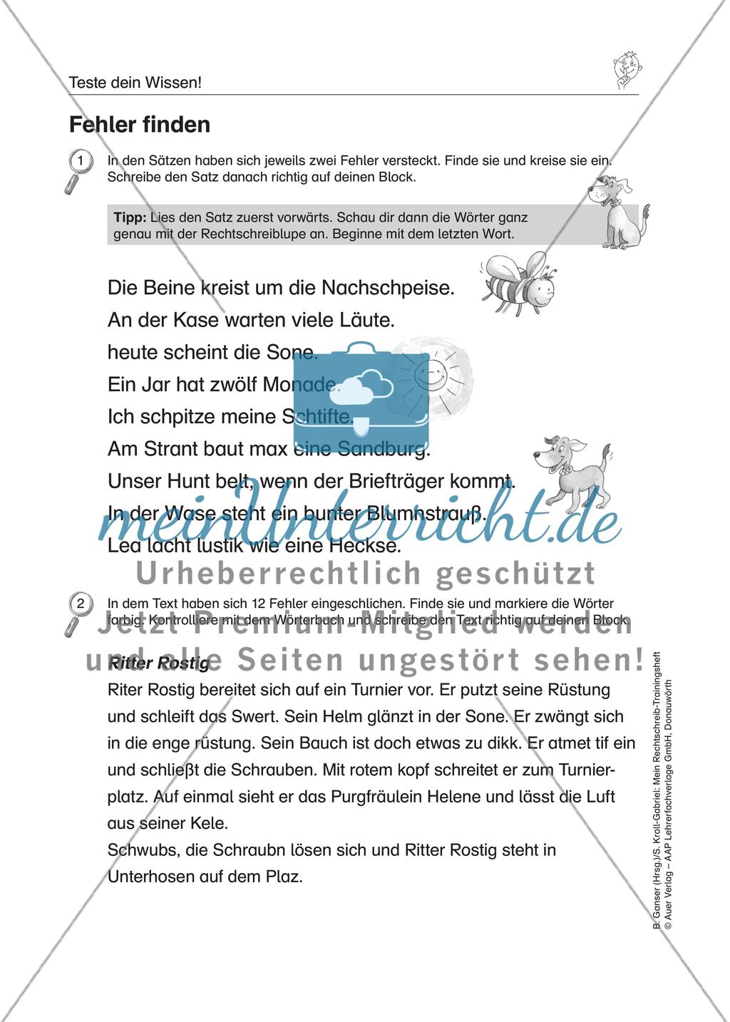 LRS: Wissenstest Rechtschreibung Preview 8