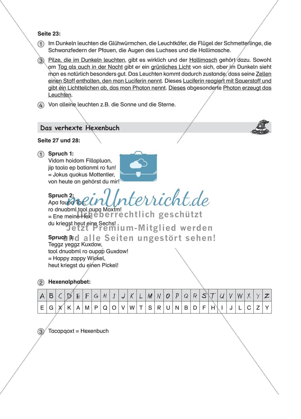 Leseförderung: Das verhexte Hexenbuch Preview 9