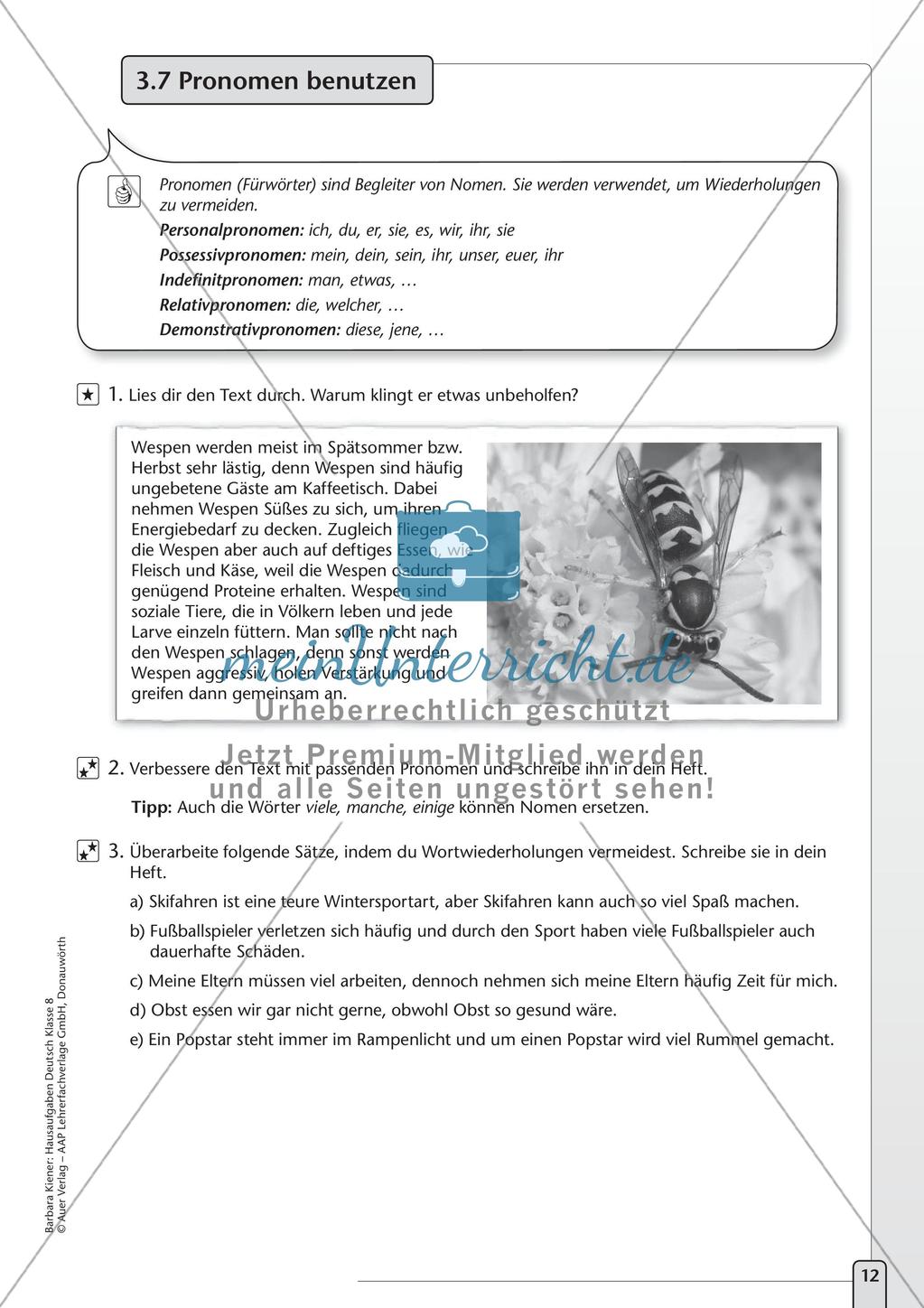 Hausaufgaben: Sprache untersuchen Preview 14