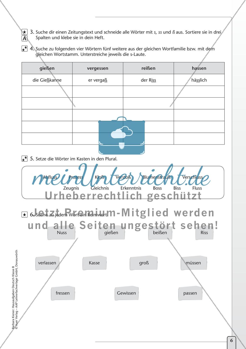 Hausaufgaben: Grammatik und Rechtschreibung Preview 8
