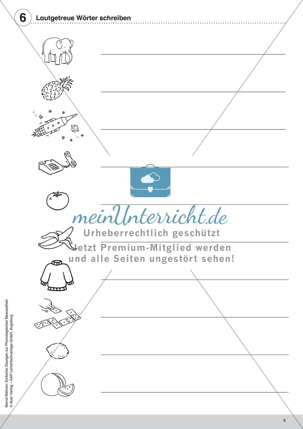 Training der Phonologischen Bewusstheit: Lautgetreue Wörter Preview 10