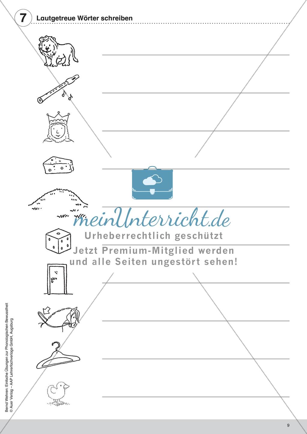 Training der Phonologischen Bewusstheit: Lautgetreue Wörter Preview 11