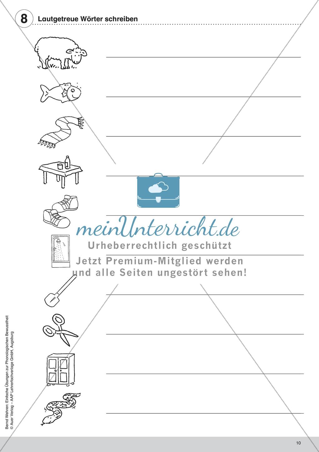 Training der Phonologischen Bewusstheit: Lautgetreue Wörter Preview 12