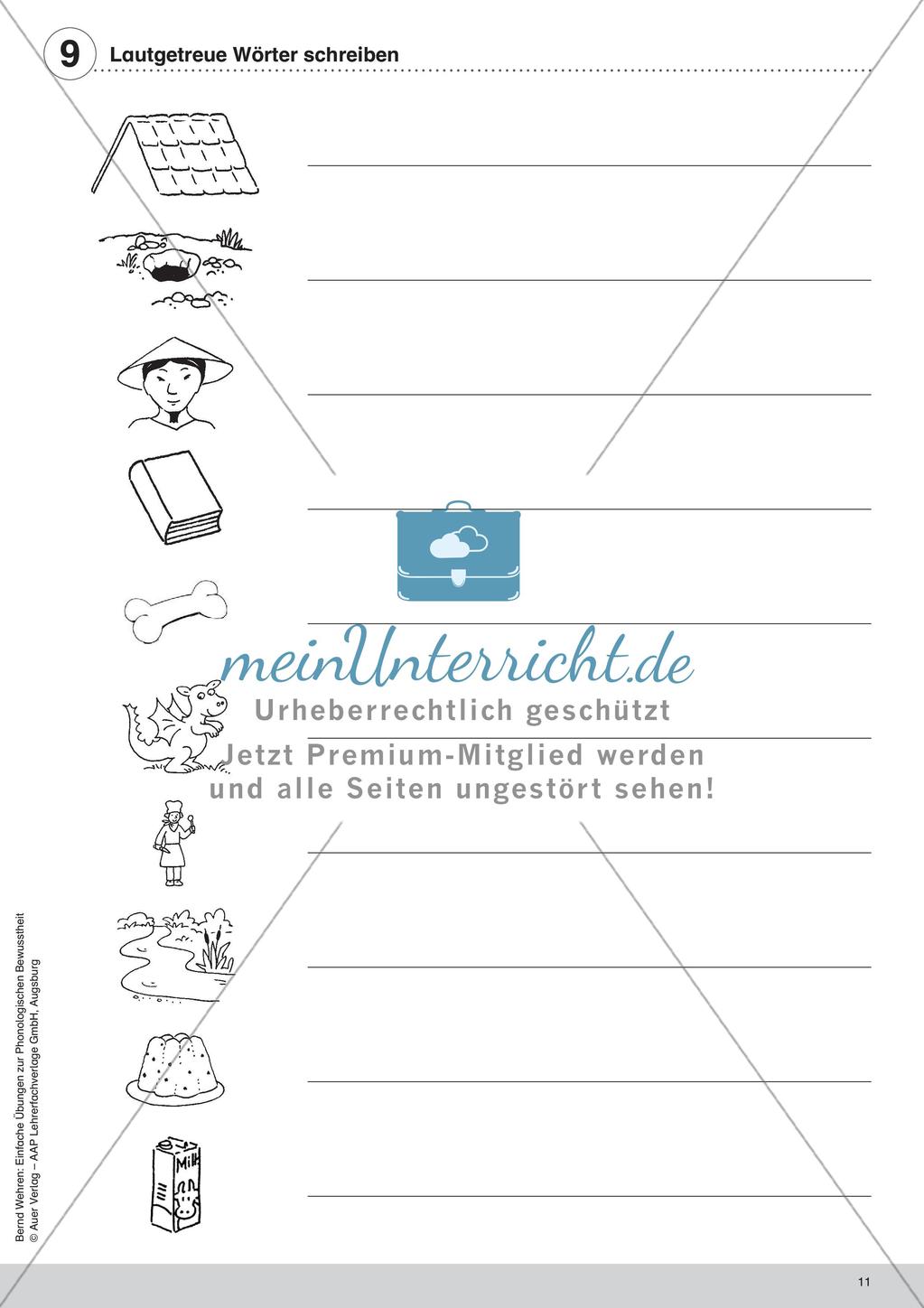 Training der Phonologischen Bewusstheit: Lautgetreue Wörter Preview 13