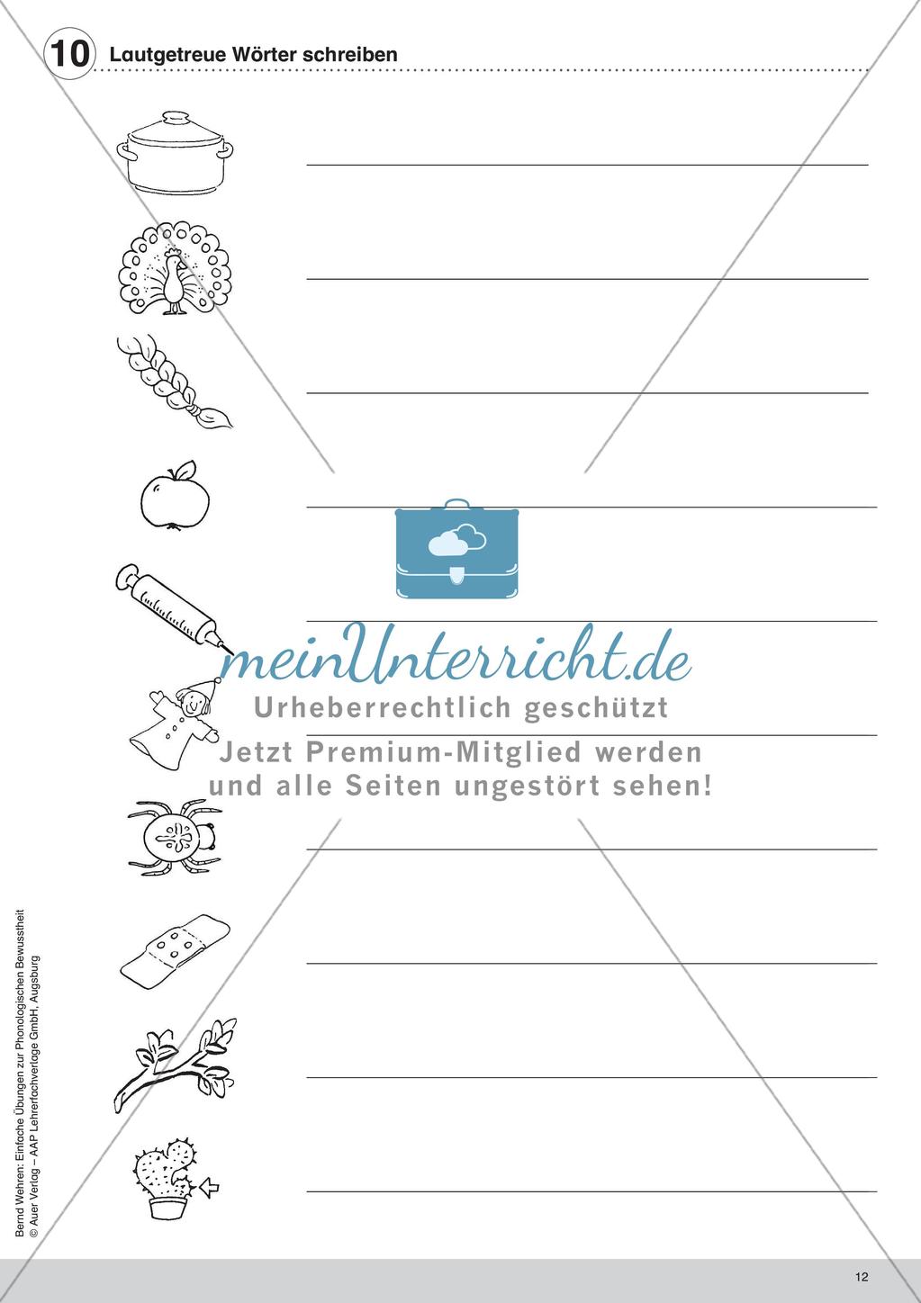 Training der Phonologischen Bewusstheit: Lautgetreue Wörter Preview 14