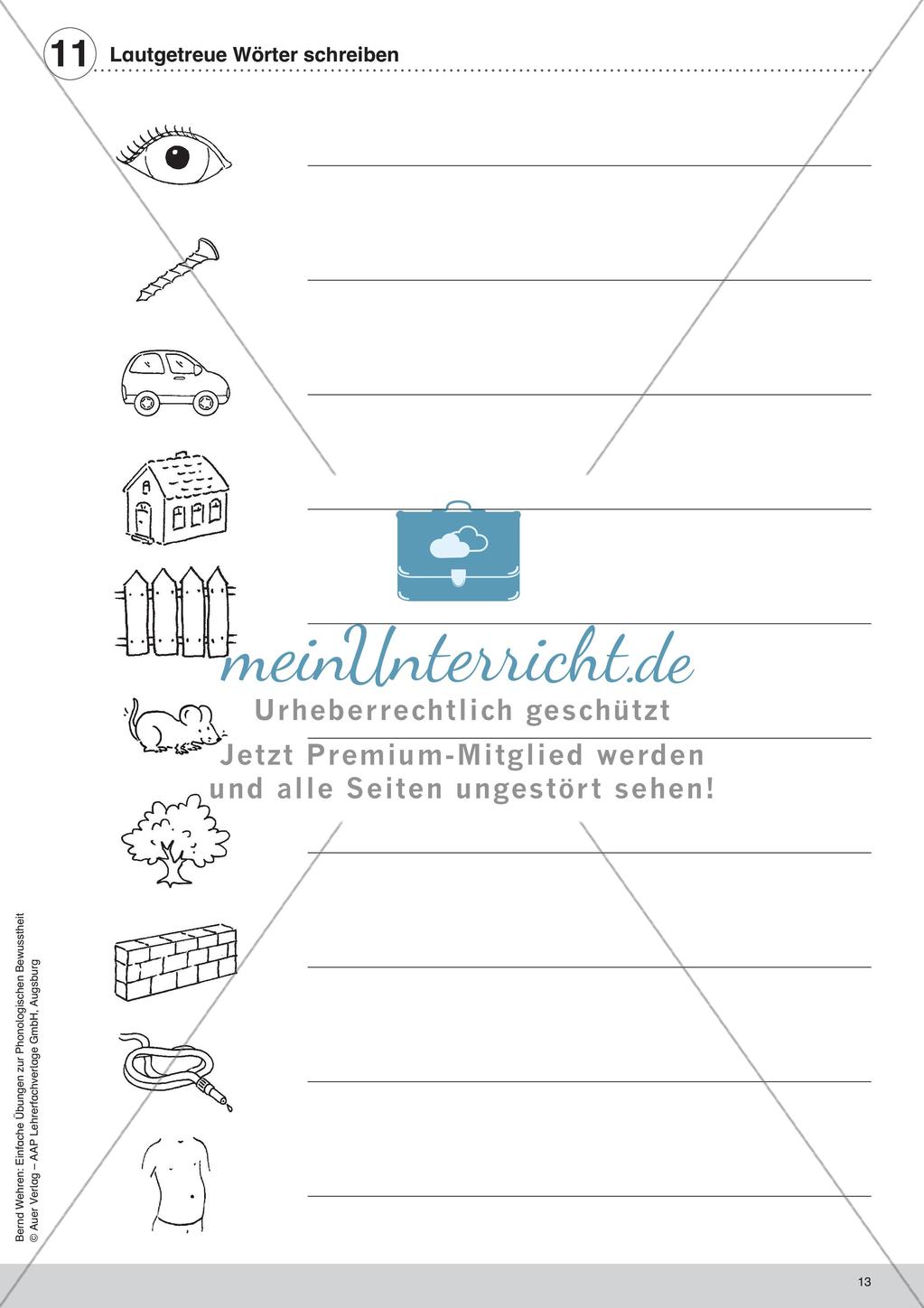 Training der Phonologischen Bewusstheit: Lautgetreue Wörter Preview 15
