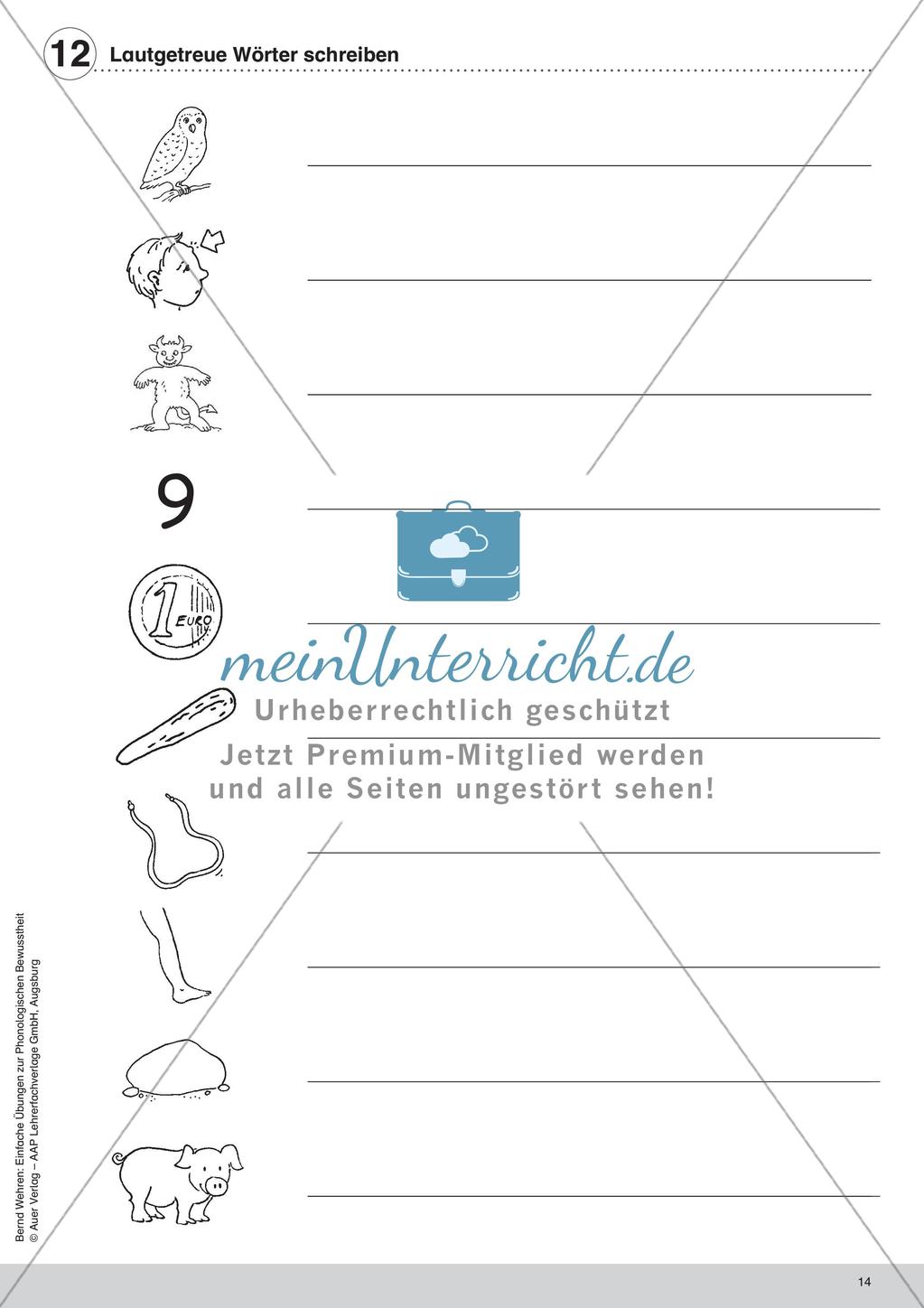 Training der Phonologischen Bewusstheit: Lautgetreue Wörter Preview 16