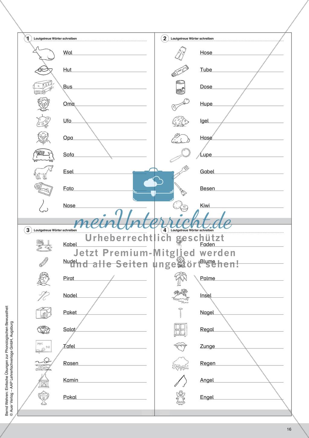 Training der Phonologischen Bewusstheit: Lautgetreue Wörter Preview 18