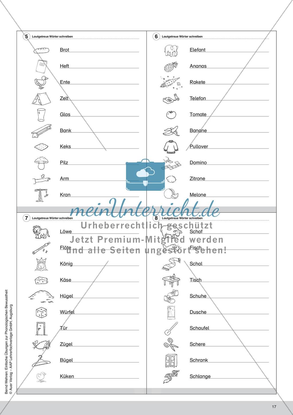 Training der Phonologischen Bewusstheit: Lautgetreue Wörter Preview 19