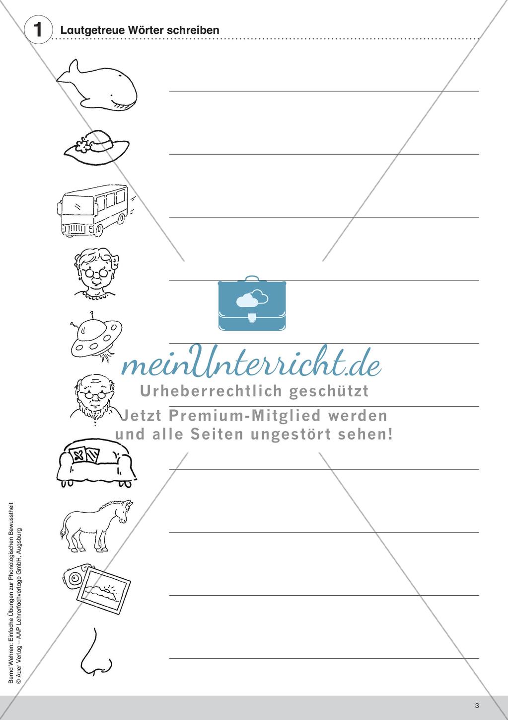 Training der Phonologischen Bewusstheit: Lautgetreue Wörter Preview 5