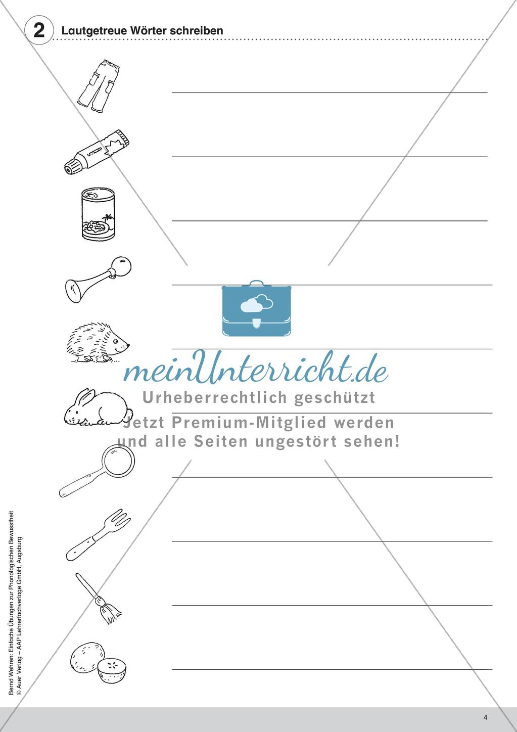 Training der Phonologischen Bewusstheit: Lautgetreue Wörter Preview 6