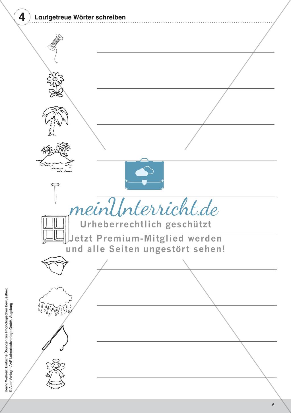Training der Phonologischen Bewusstheit: Lautgetreue Wörter Preview 8