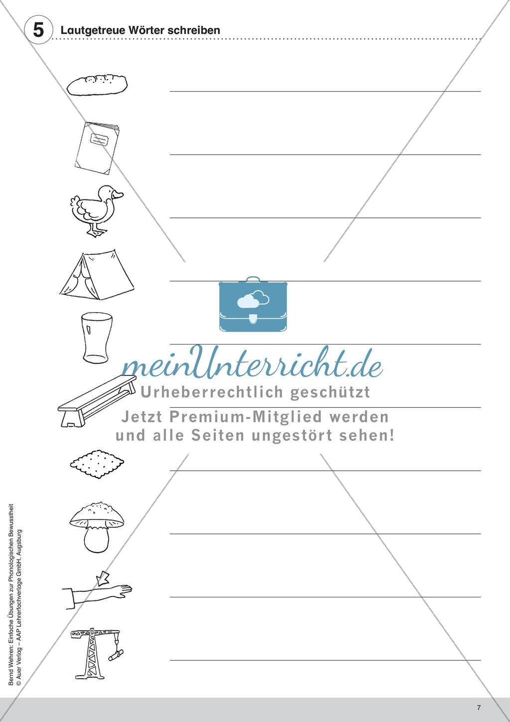 Training der Phonologischen Bewusstheit: Lautgetreue Wörter Preview 9