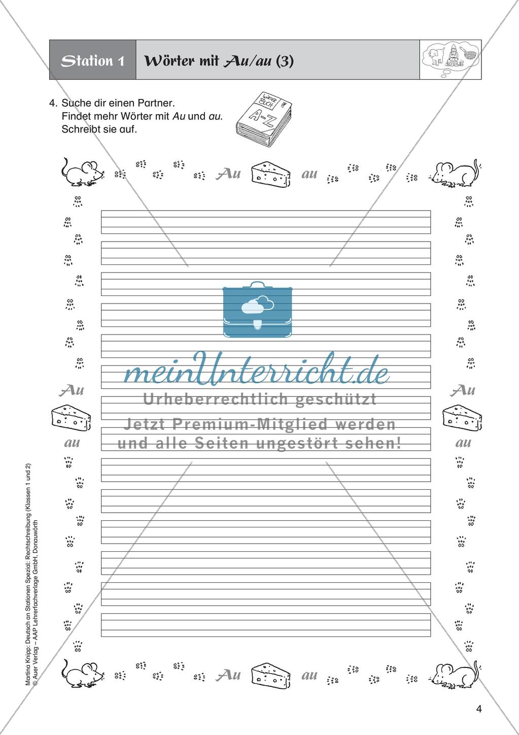 Rechtschreibung im Anfangsunterricht: Einzelne Rechtschreibphänomene Preview 6