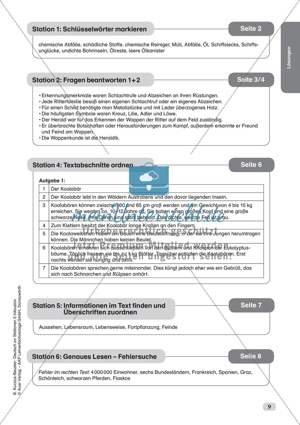 Lesen, Verstehen, Informationserfassung Preview 11