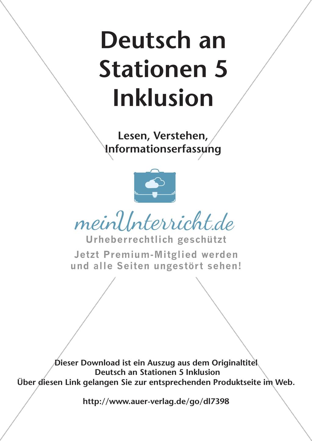 Lesen, Verstehen, Informationserfassung Preview 2