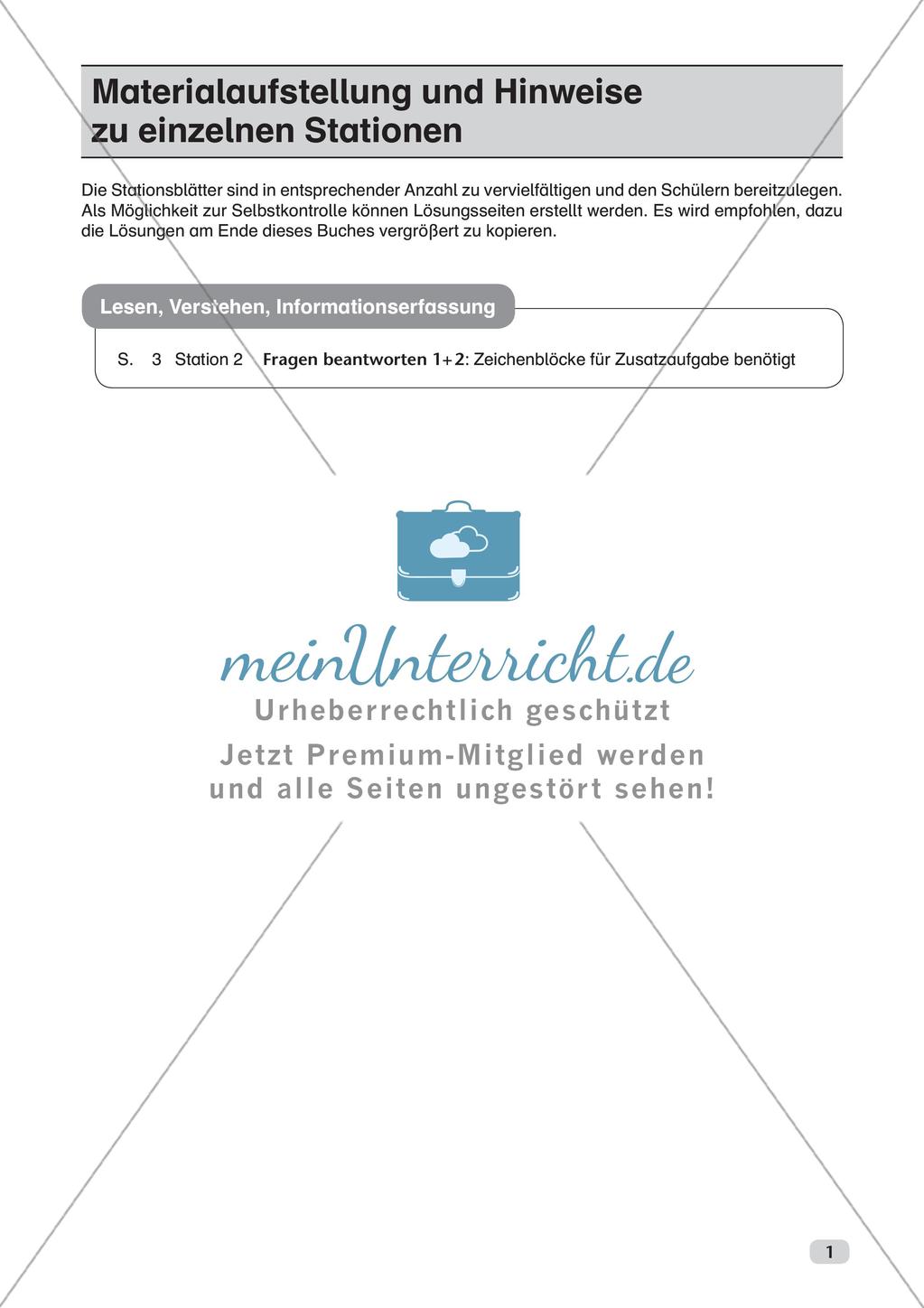 Lesen, Verstehen, Informationserfassung Preview 3